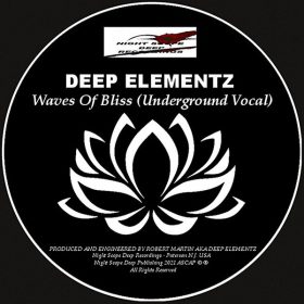 Deep Elementz - Waves Of Bliss [Night Scope Deep Recordings]