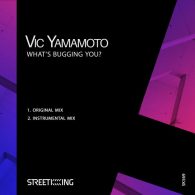 Vic Yamamoto - What’s Bugging You [Street King]