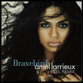 Amel Larrieux - Bravebird (Ezel Remix) [bandcamp]