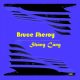 Bruce Sheroy - Shang Cang [Global House Movement Records]