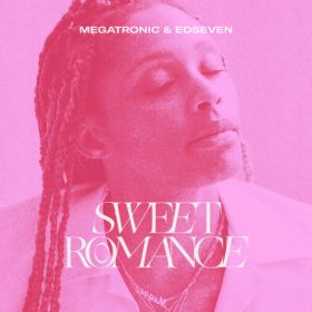 Megatronic - Sweet Romance [Turntables on the Hudson Music]