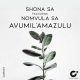 Shona SA, Nomvula SA - Avumil'Amazulu [Celsius Degree Records]