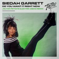 Siedah Garrett - Do You Want It Right Now (Jolyon Petch's Elektrik Disko Remix) [Tinted Records]