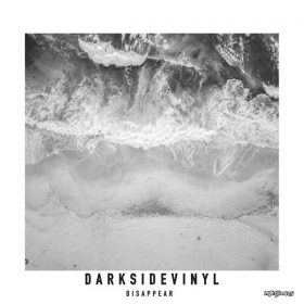 Darksidevinyl - Disappear [Nite Grooves]