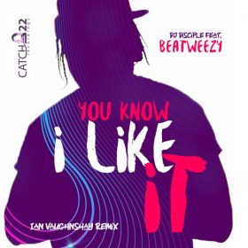 Dj Disciple, Beatweezy - You Know I Like It (After The Wedding Party) [Catch 22]