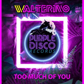 Walterino - Too Much Of You [Purple Disco Records]