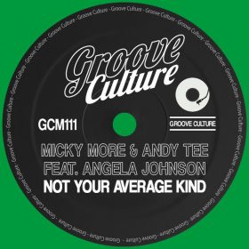 Micky More & Andy Tee, Angela Johnson - Not Your Average Kind [Groove Culture]