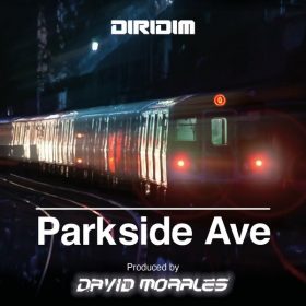 PARKSIDE AVE - Parkside Ave [DIRIDIM]
