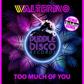 Walterino - Too Much Of You (Remix) [Purple Disco Records]