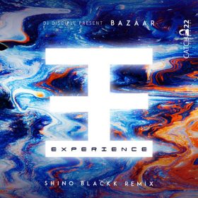 Bazaar, Dj Disciple - Experience [Catch 22]