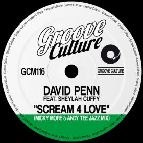 David Penn, Sheylah Cuffy - Scream 4 Love (Micky More & Andy Tee Jazz Mix) [Groove Culture]