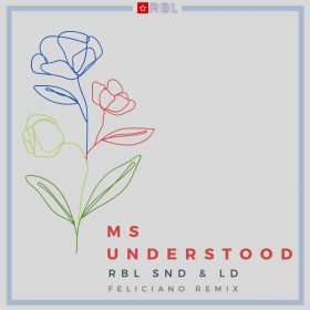 RBL SND & LD - Ms Understood [Ricanstruction Brand Limited]