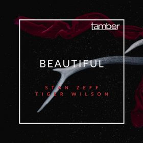 Stan Zeff, Tiger Wilson - Beautiful [Tambor Music]