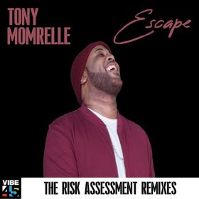 Tony Momrelle - Escape (The Risk Assessments Remixes) [Vibe45 Records]