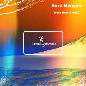 Various Artists - Herb Remix vol.1 [Herbal 3 Distribution]