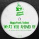 Ziggy Funk - What You Afraid Of (Remix) [Indeed Records]