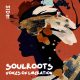 Soulroots - Voices of Liberation [Madorasindahouse Records]