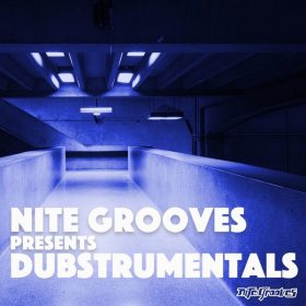 Various Artists - Nite Grooves presents Dubstrumentals [Nite Grooves]