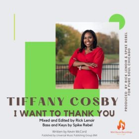 Tiffany Cosby - I Want To Thank You [Mild Sauce Recordings]