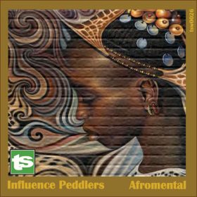 Influence Peddlers - Afromental [Twirlspace]