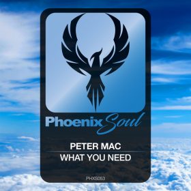 Peter Mac - What You Need [Phoenix Soul]