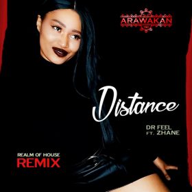 Realm of House, Dr Feel, Zhane - Distance (Remix) [Arawakan]