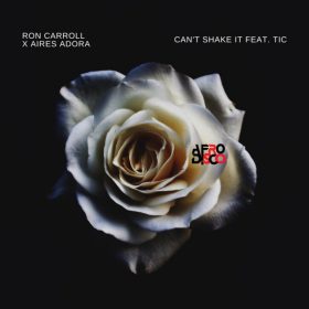 Ron Carroll, Aires Adora - Can't Shake It Feat Tic [Afro Disco Chicago]