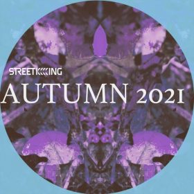 Various - Street King Autumn EP [Street King]