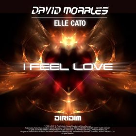 David Morales & Elle Cato - I Feel Love [DIRIDIM]