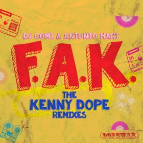 DJ Gomi, Antonio Hart - F.A.K. The Kenny Dope Remixes [Dopewax]