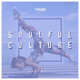 Various - Zepherin Saint Pres. Soulful Culture 2 [Tribe Records]
