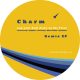 Charm - Lay your Soul down on the Floor Remix EP [Flaneurecordings]