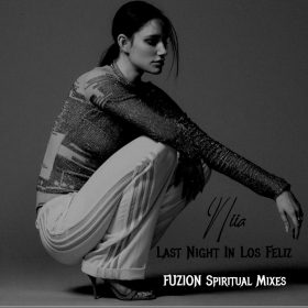 Niia - Last Night In Los Feliz (Franke Estevez FUZION Spiritual Mixes) [bandcamp]