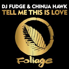DJ Fudge, Chinua Hawk - Tell Me This Is Love [Foliage Records]