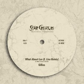 Gillies - What About Luv (E. Live Remix) [Star Creature Universal Vibrations]