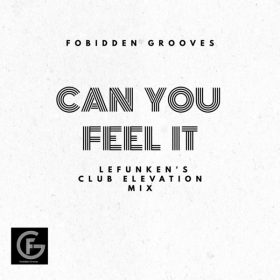 Lefunken - Can You Feel It [Forbidden Grooves]