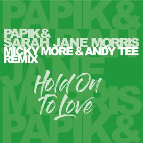 Sarah Jane Morris and Papik - Hold On To Love (Micky More & Andy Tee Remix) [Irma]