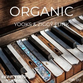 Yooks, Ziggy Funk - Organic [INFINITY DEEP RECORDINGS]