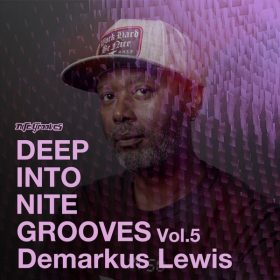 Demarkus Lewis - Deep Into Nite Grooves, Vol. 5 [Nite Grooves]