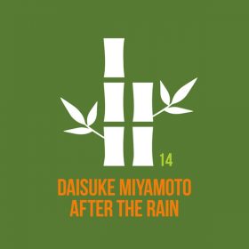 Daisuke Miyamoto - After The Rain [THE KYOTO TRAX]