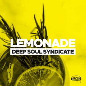 Deep Soul Syndicate - Lemonade [Sounds Of Ali]