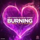 Tiger & Phoenix, Flauschig, Nimiwari - Burning [Karmic Power Records]