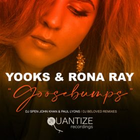 Yooks, Rona Ray - Goosebumps (The Remixes) [Quantize Recordings]