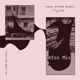 Dahl Hates Disco, Fynite - So Long, So Fast (Afro Mix) [soWHAT]
