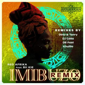 Red Afrika feat. Bii Kie - Imibuzo - Remix Album [Arawakan]
