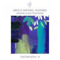 Arno E. Mathieu - Contemplation VII - Platanes [Compost Records]
