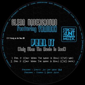Glenn Underground - Feel It [Strictly Jaz Unit Muzic]
