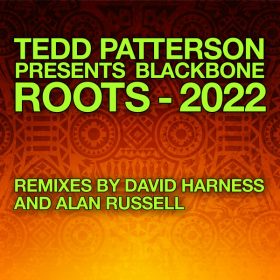 Tedd Patterson pres. Blackbone - Roots - 2022 Remixes [Black Vinyl]