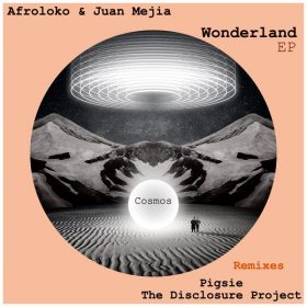Afroloko - Pisco Funk [Into the Cosmos]