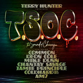 Terry Hunter feat. Common, Deon Cole - T.S.O.C. [Mirror Ball Recordings]